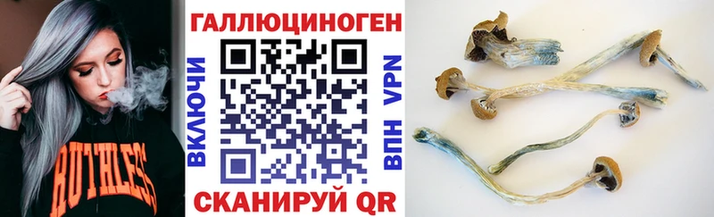 hydra зеркало купить наркотики цена Белёв Псилоцибиновые грибы мицелий